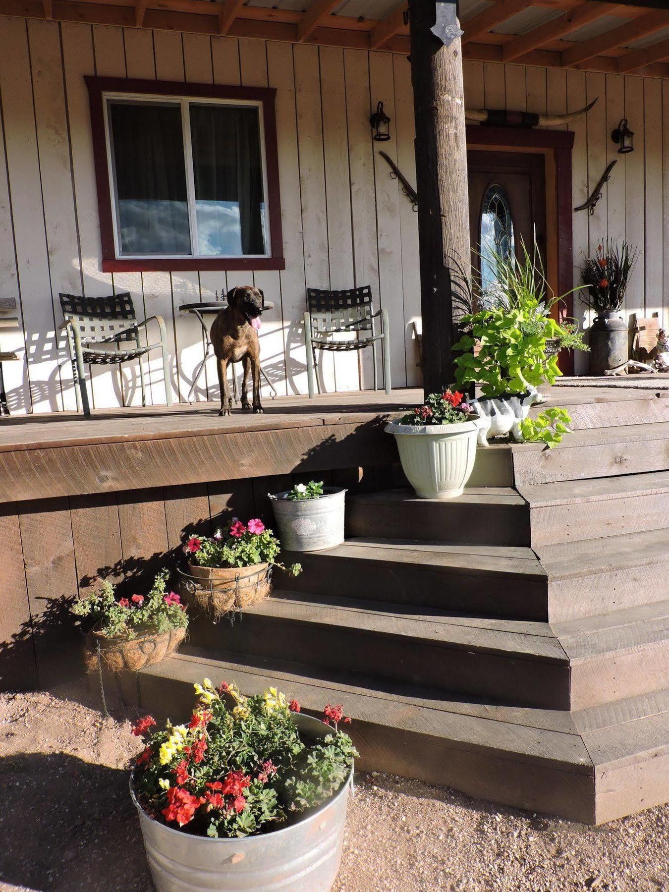 Grand Canyon Ranch & Outfitters Hotel Fredonia Zewnętrze zdjęcie